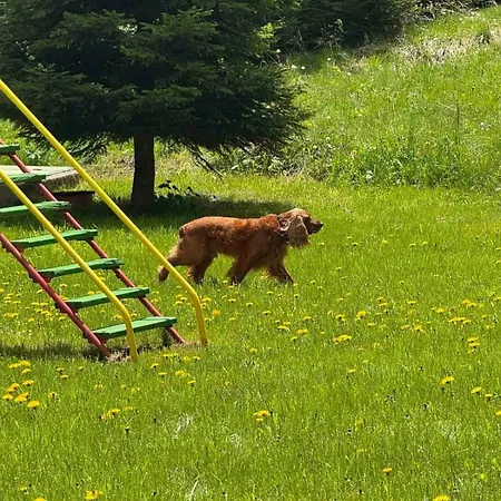 Pamporovo Duplex Fireplace 2 Bathrooms Shuttle شقة