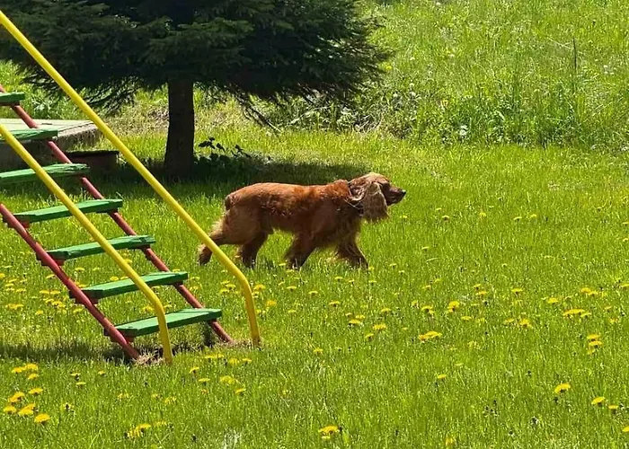 Wood Fireplace Duplex Near Pamporovo - Parking, Sleeps 6 아파트