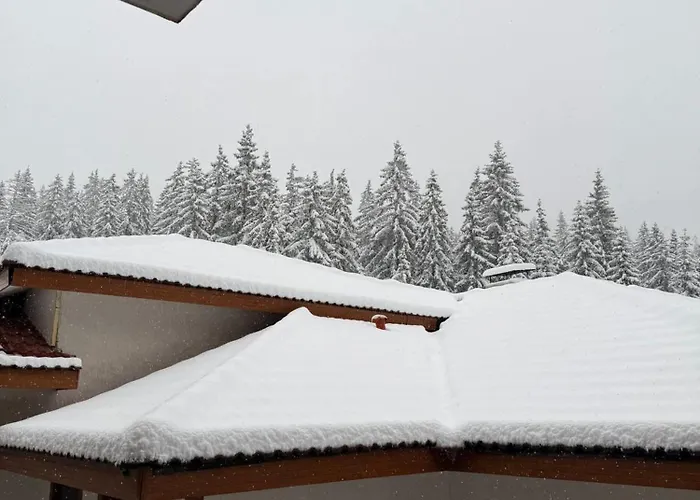 Wood Fireplace Duplex Near Pamporovo - Parking, Sleeps 6 דירה