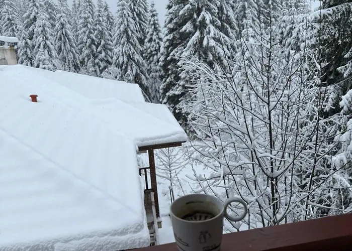 Wood Fireplace Duplex Near Pamporovo - Parking, Sleeps 6 아파트