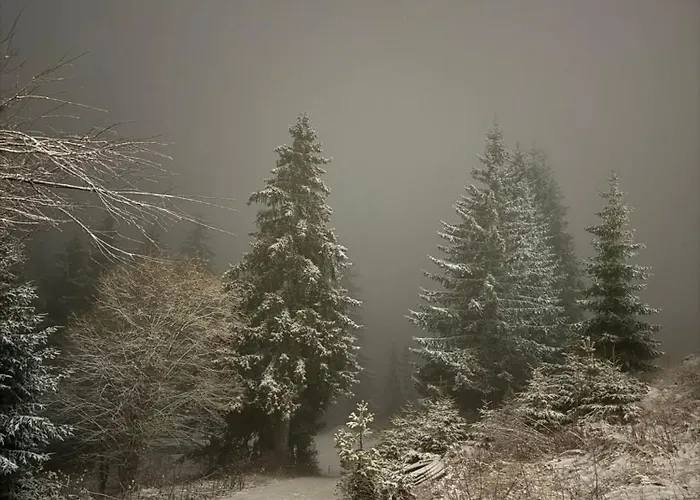 Wood Fireplace Duplex Near Pamporovo - Parking, Sleeps 6 아파트